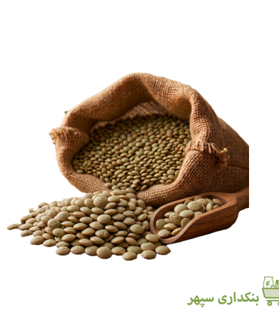 عدس درشت کانادایی بنکداری سپهر