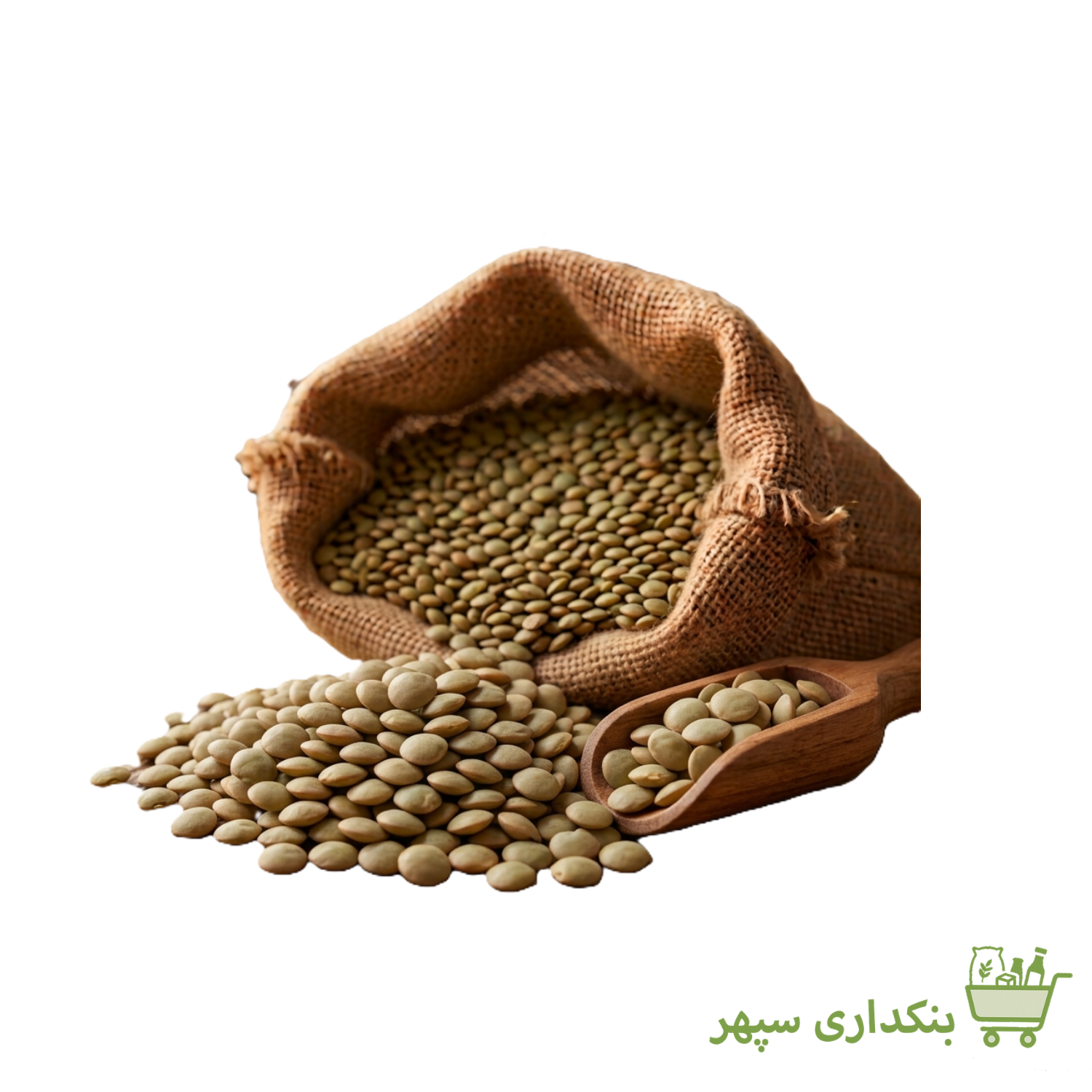 عدس درشت کانادایی (1 کیلوگرم)